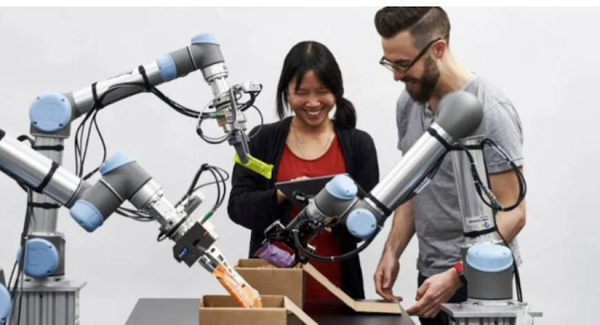 India Collaborative Robot Market Growth, Size, and Trends Report 2025-2033