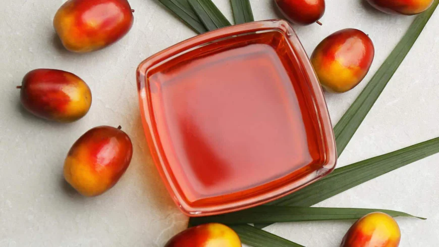 Indonesian Palm Oil Export Data: Find Verified Suppliers Fast