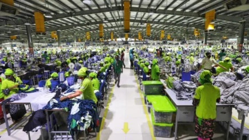 Bangladesh Garment Export Statistics: Factory & Buyer Insights