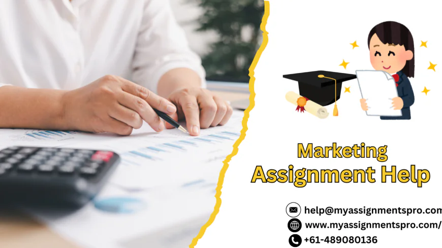 Marketing Assignment Help: Your Complete Guide to Academic Success