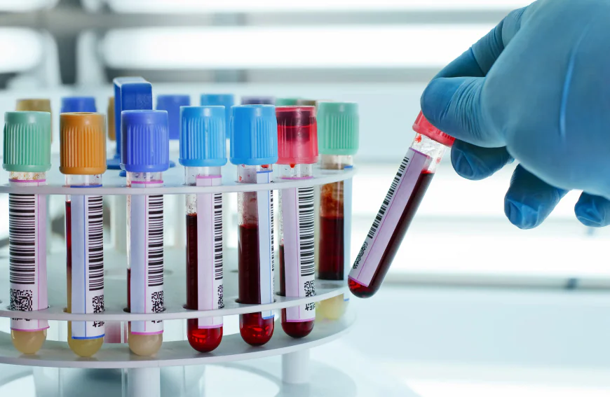 Methylation Test vs Genetic Testing: Key Differences You Should Know