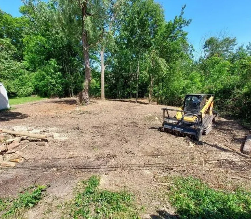 From Brush Removal to Site Prep: Comprehensive Land Clearing Services