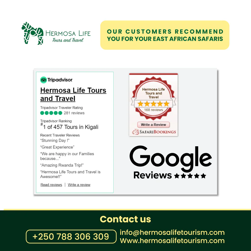 Thinking of Exploring Rwanda's Wonders? A Balanced Trip Plan Covering Safaris, Golf Courses and Lakes