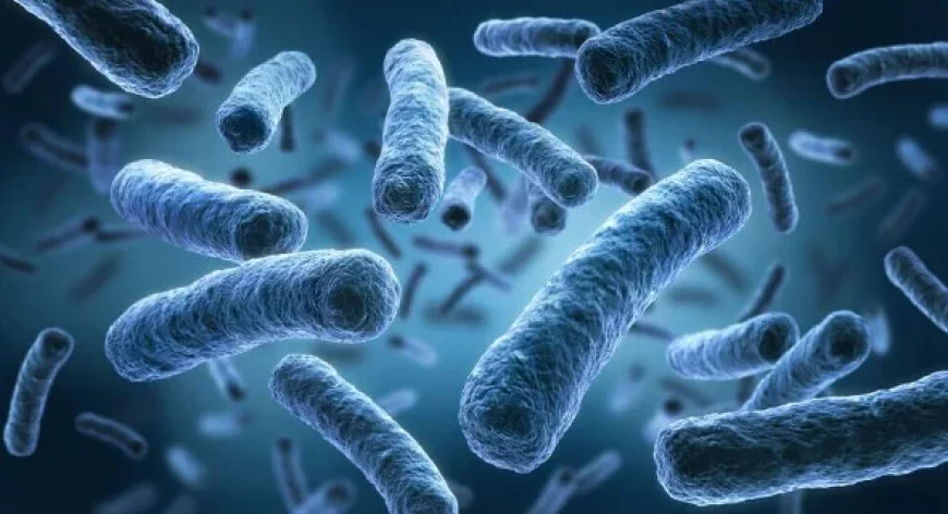 Importance of Water Quality Analysis for Homes and Businesses