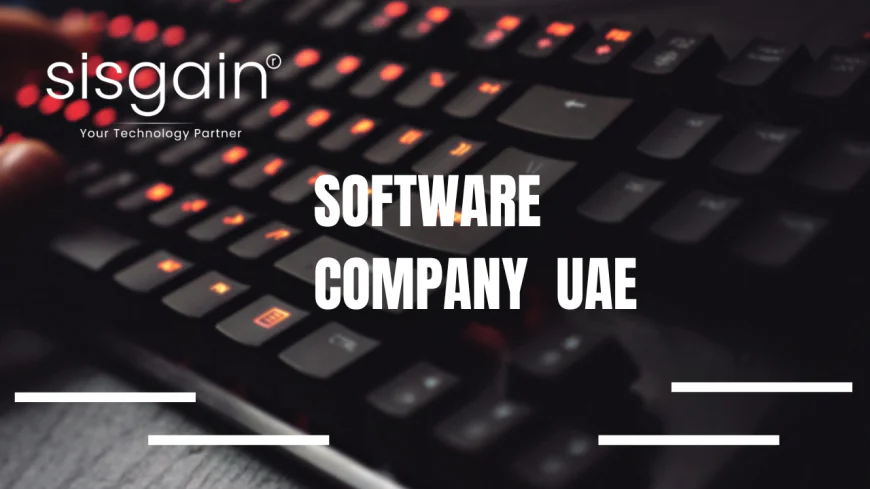 How to Choose the Best Software Development Company in UAE