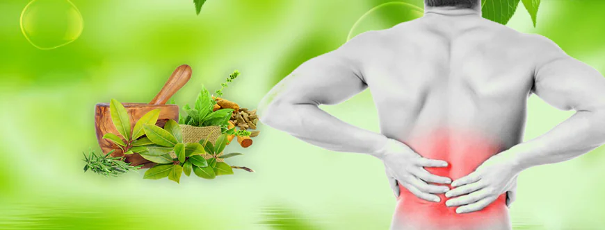 BEST AYURVEDIC TIPS FOR BACK PAIN RELIEF