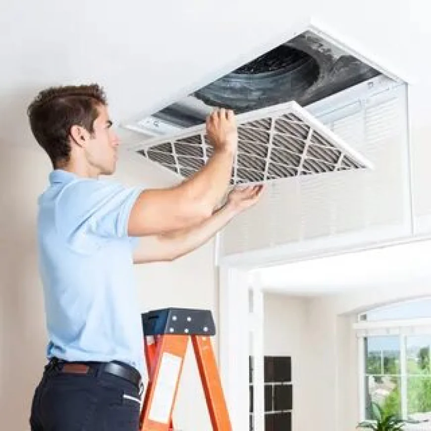 Expert Soffit Repair and Indoor Air Quality Solutions