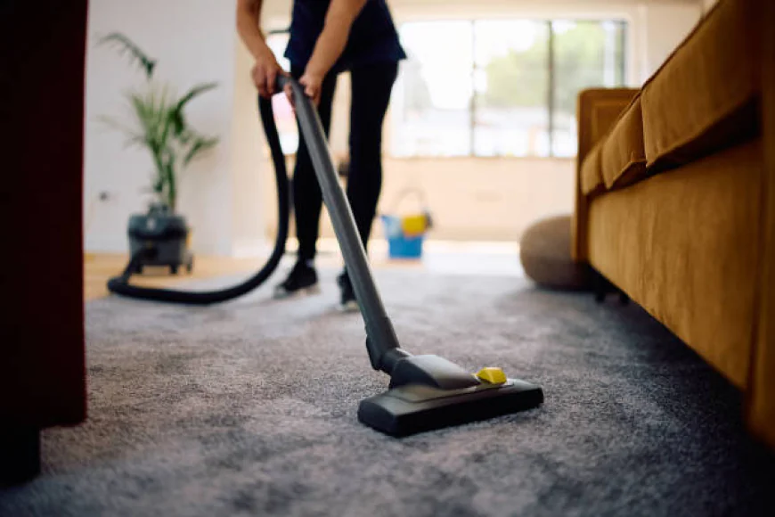Carpet Cleaning Auburndale, MA for a Healthier, Fresher Home