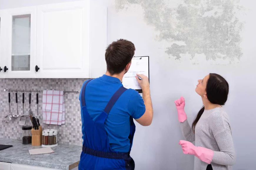 Top Signs You Need a Mold Inspection Immediately