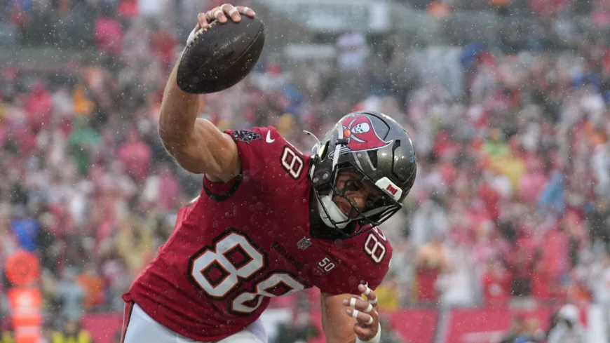 Florida Governor Ron DeSantis declares June 10 as Mike Evans Working day