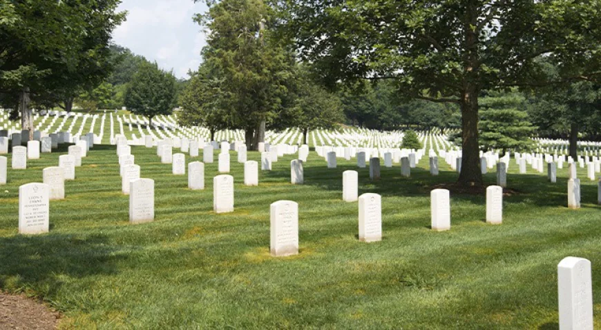 Opciones de seguro médico en Florida: Soluciones asequibles para todos