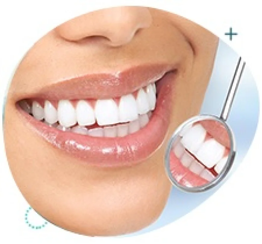 What Services Can an Albany Dentist in WA Provide for Your Smile?