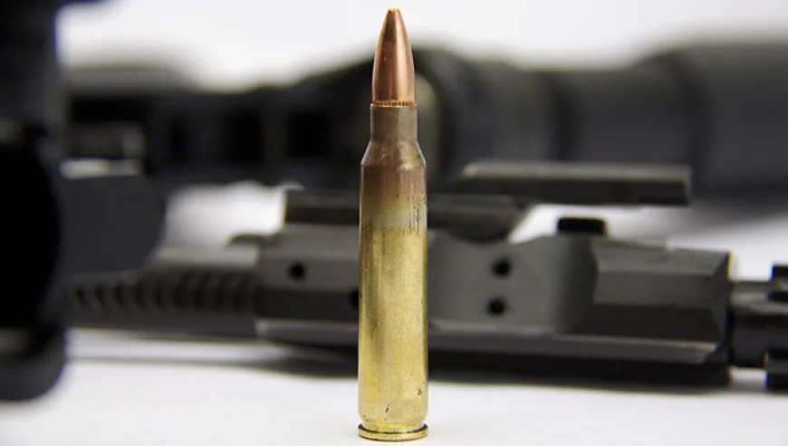 223 Ammo: Consistent Performance and Trusted Accuracy for Modern Shooters