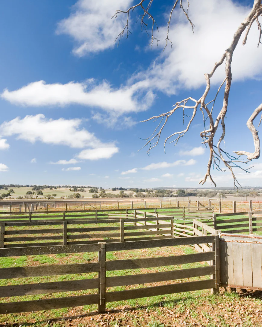Quality Wood And Chain Link Fencing For Privacy And Security