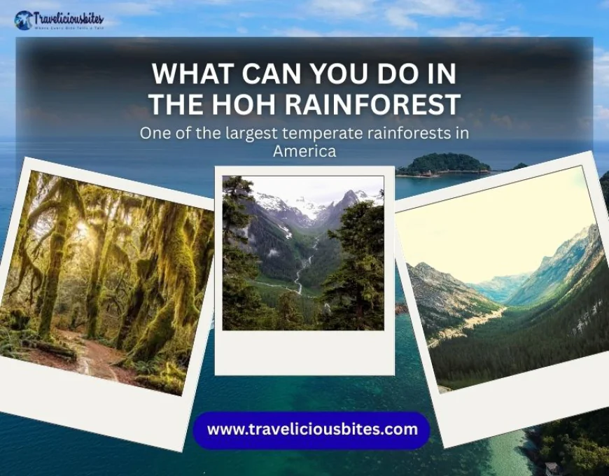 What Can You Do in the Hoh Rainforest