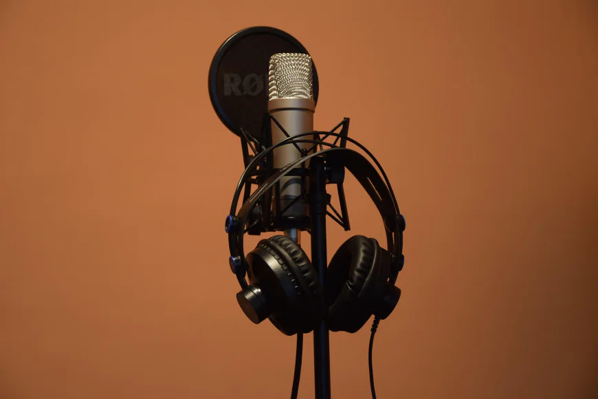 The Art of Selecting Professional Video Voice Overs