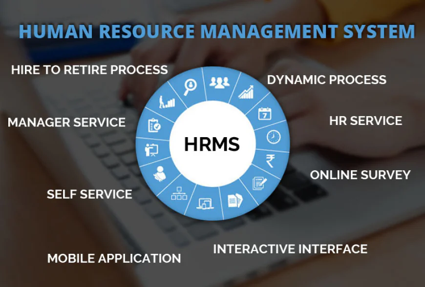 How to Choose the Best Human Resource Management Software for Your Business in 2026