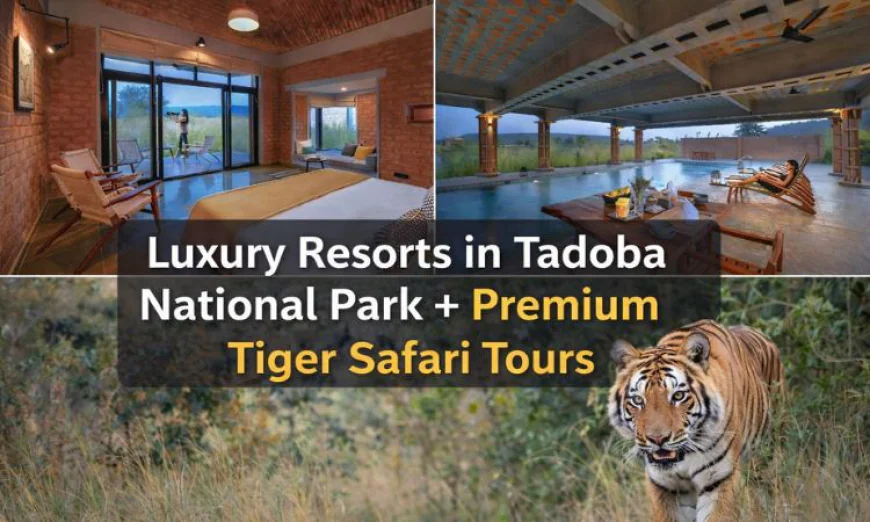 Luxury Resorts in Tadoba National Park + Premium Tiger Safari Tours