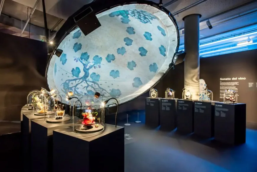 Rent a Geodesic Dome for Events and Brand Activations