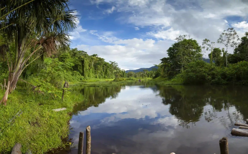 Frequently Asked Questions About Manu Rainforest Tours