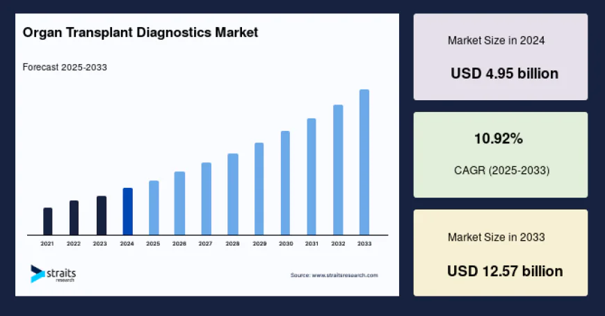 Organ Transplant Diagnostics Market Size Outlook and Growth Forecast 2025–2033