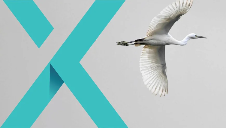 The Role of Operational Expertise in Modern Air Transport