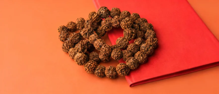 Rudraksha Calculator – Find the Right Rudraksha Using Astrology & Numerology