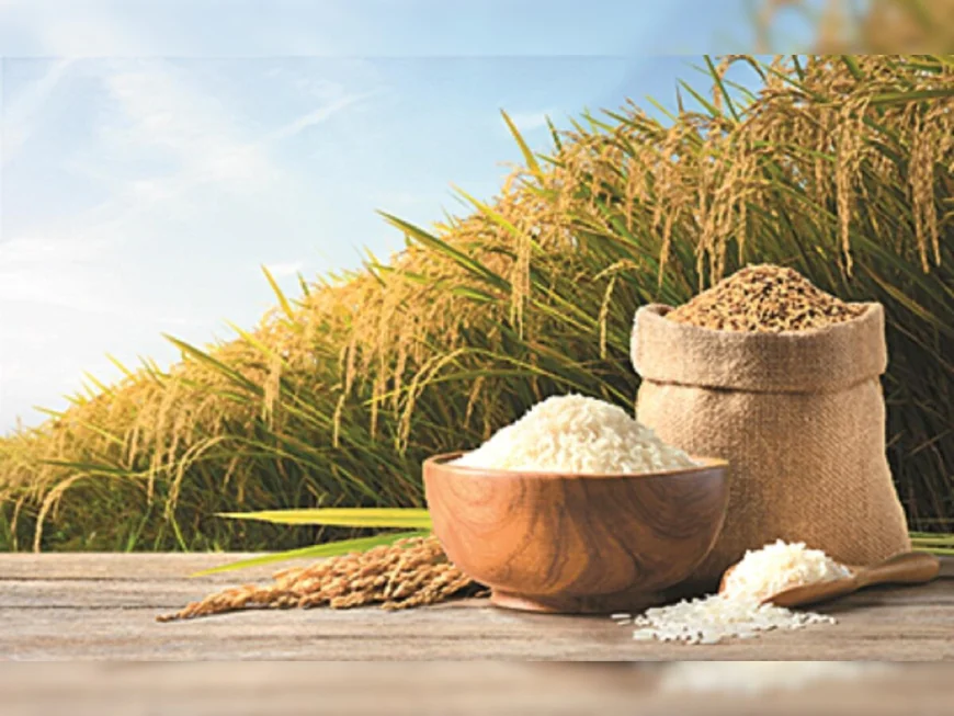 How India’s Basmati Rice Exporters Lead Premium Rice Trade Worldwide