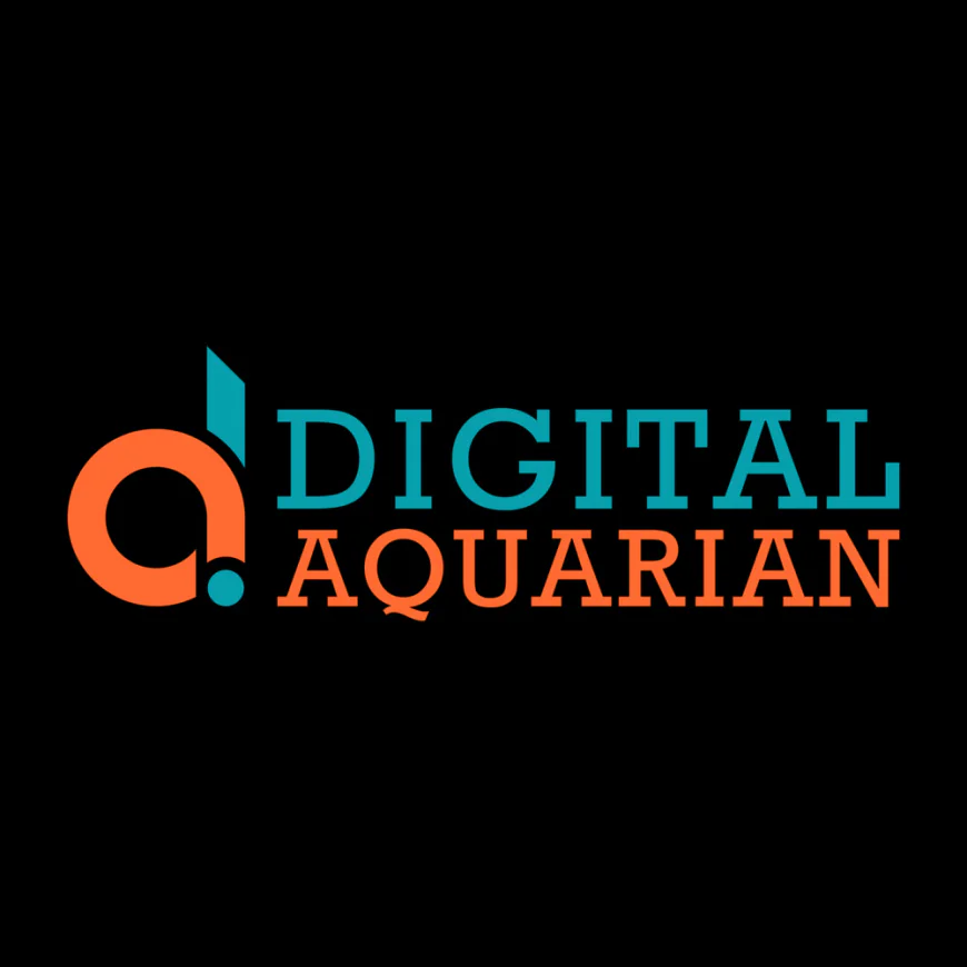 Digital Aquarian – Professional SEO Services in Karachi for Business Growth