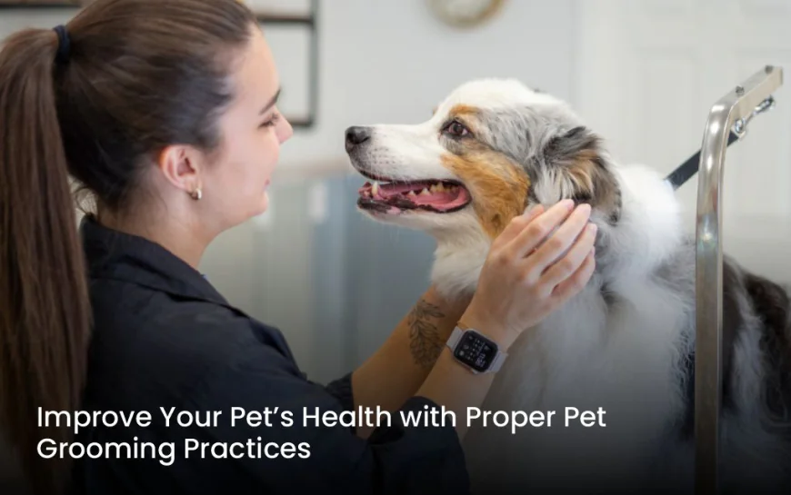 Improve Your Pet’s Health with Proper Pet Grooming Practices