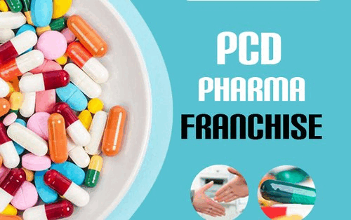 Why PCD Pharma Franchise Companies Lead In Competitive Markets