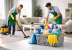 Professional Cleaning Tips for a Healthier and Safer Home