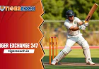 Tiger Exchange 247: Make sports betting at Tiger Exchange