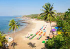 Baga Beach Goa: A Complete Guide to Fun, Sun & Unforgettable Memories