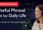 20 Useful Phrasal Verbs for Daily Life: A Simple Guide for Everyday English