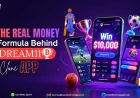 The Real Money Formula Behind Dream11 Clone Apps