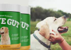 Natural Digestive Supplement for Pets – How NativeGut™ Supports Gut Health