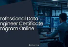 Professional Data Engineer Certificate Program Online | IABAC