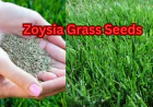 Top Grass Cutting Machine – Types, Prices, Uses & Buying Guide