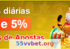 55vv Bet Plataforma - Guia Completo, Seguro e Atualizado