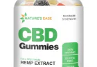 Do Nature’s Ease CBD Gummies support inflammation control?