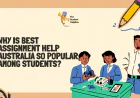 Why Is Best Assignment Help Australia So Popular Among Students?