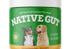NativeGut Review: What Makes NativeGut Different from Other Dog Probiotics?
