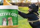 NativeGut Benefits: Real Results for Dog Digestive and Immune Health