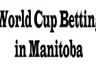 World Cup Betting in Manitoba: 5 Perspectives to Consider