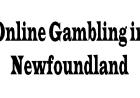 Online Gambling in Newfoundland: Trends, Opportunities, and Challenges