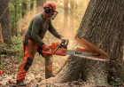 Precision Felling: Respect the Gravity of the Situation