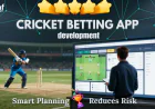 How Smart Planning Reduces Risk in Cricket Contest App Projects