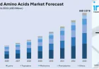 India Food Amino Acids Market Size and Industry Overview 2025-2033 | Get Sample Report