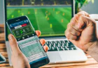 Guide to Online Cricket Betting: Everything You Should Know